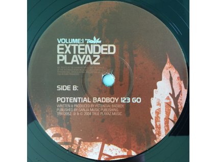 Various ‎– Extended Playaz Volume:1