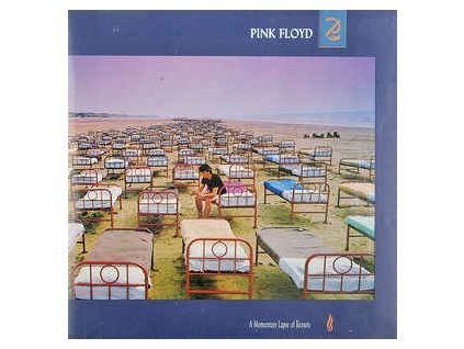 Pink Floyd ‎– A Momentary Lapse Of Reason