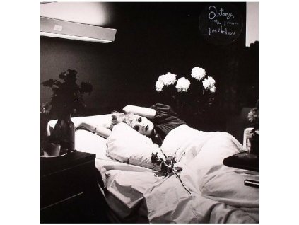 Antony And The Johnsons ‎– I Am A Bird Now