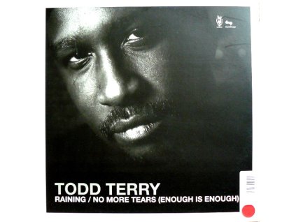 Todd Terry ‎– Raining / No More Tears (Enough Is Enough)