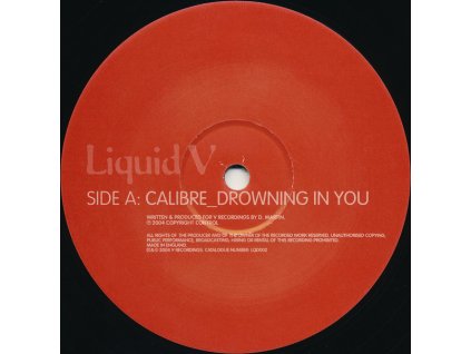 Calibre / Calibre & Zero Tolerance ‎– Drowning In You / One Word