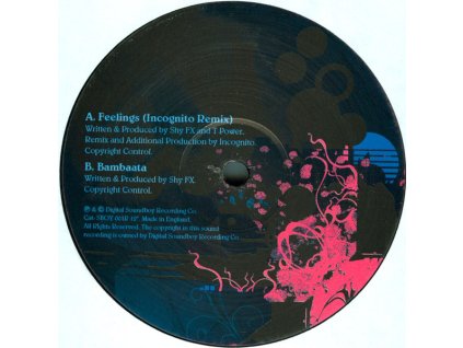 Shy FX & T Power ‎– Feelings (Incognito Remix)