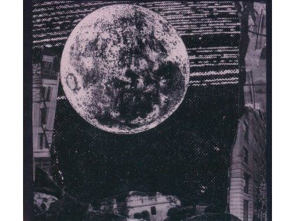 Thee Oh Sees ‎– Moon Sick