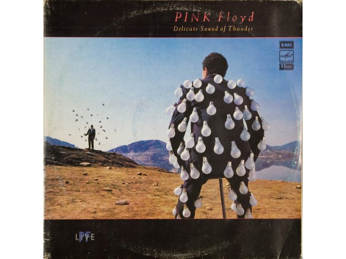 Pink Floyd ‎– Delicate Sound Of Thunder