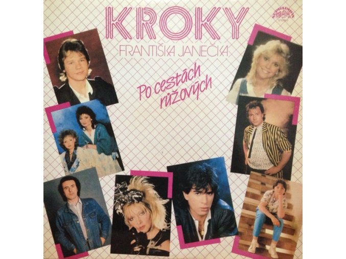 Kroky Františka Janečka ‎– Po Cestách Růžových