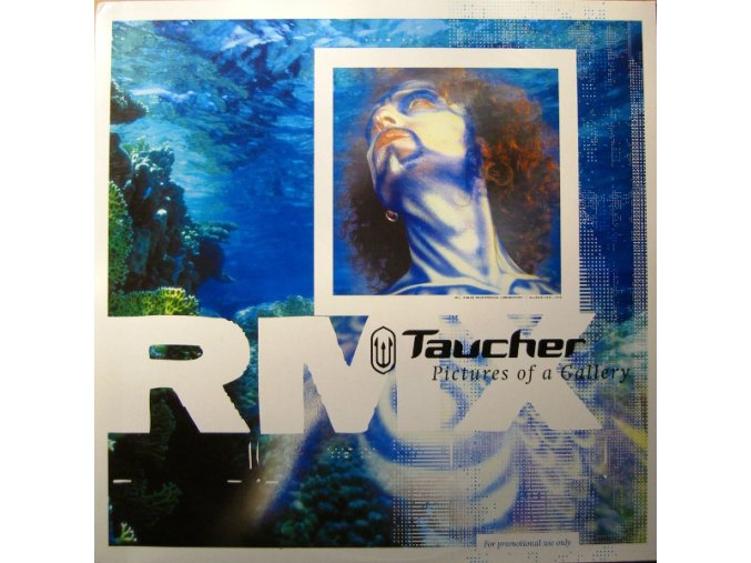 Taucher ‎– Pictures Of A Gallery RMX.jpeg