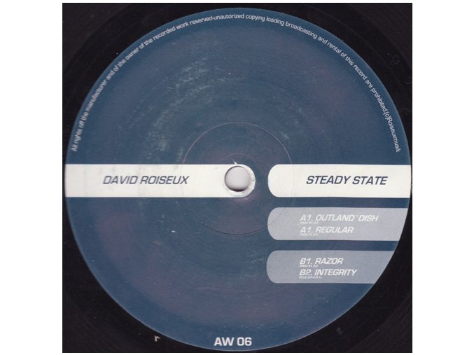 David Roiseux ‎– Steady State.jpeg