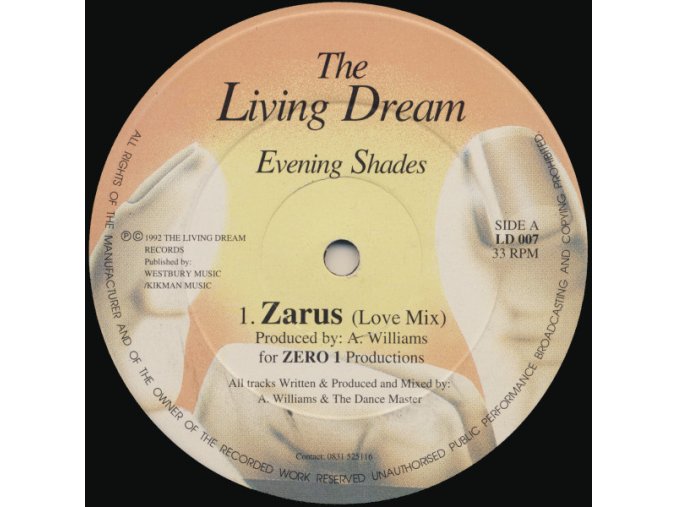 Evening Shades – Zarus / The Groove Desired