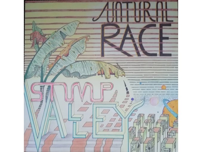 Stump Valley – Natural Race