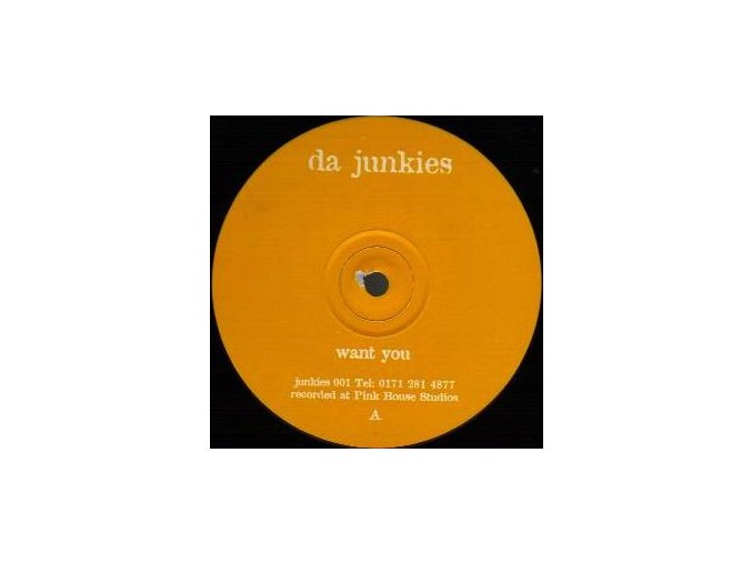 Da Junkies – Want You / Get Wicked
