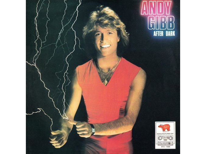 Andy Gibb – After Dark