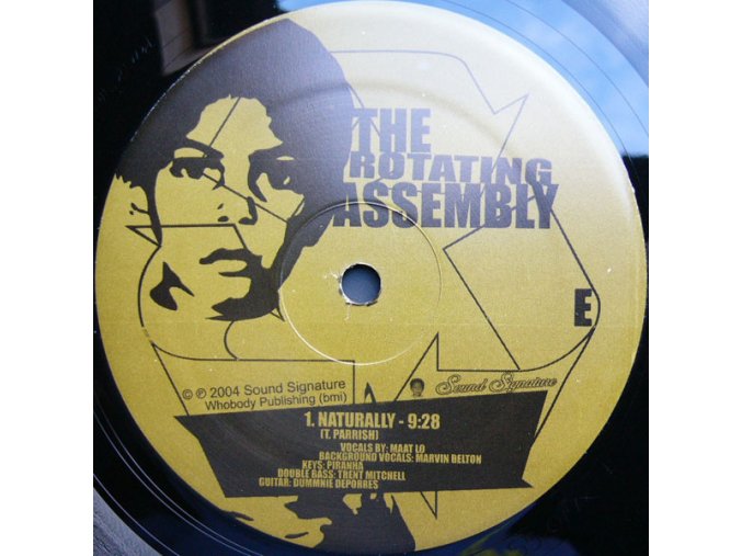 The Rotating Assembly ‎– Natural Aspirations -The 12" Series-