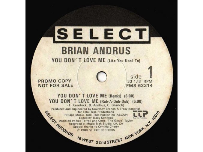 Brian Andrus ‎– You Don't Love Me (Like You Used To)