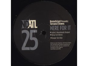 KemeticJust Presents: Terrance Downs ‎– Here For It