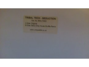 Tribal Tech ‎– Seduction