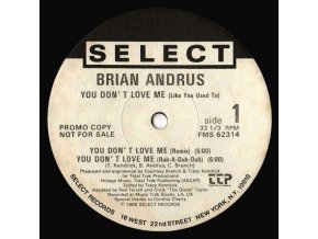 Brian Andrus ‎– You Don't Love Me (Like You Used To)