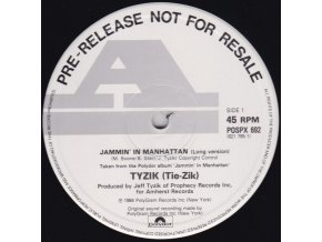 Tyzik ‎– Jammin' In Manhattan