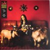 TSHA – Capricorn Sun