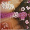 Vieroslav Matušík ‎– Olé Guapa