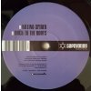 DJ Halperin ‎– Killing Spider / Back To My Roots