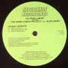 DJ Mike LaBirt Presents The Afro Cuban Project Feat. Alexi Raez ‎– Tribal Spirits