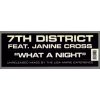 7th District Feat. Janine Cross ‎– What A Night