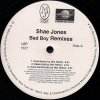 Shae Jones ‎– Bad Boy (Remixes)