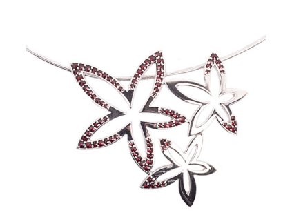 Czech garnet necklace (6770892)