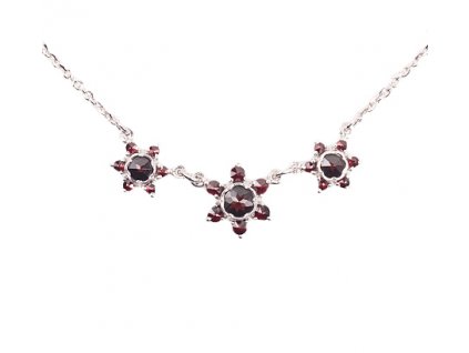Czech garnet necklace (6770920)