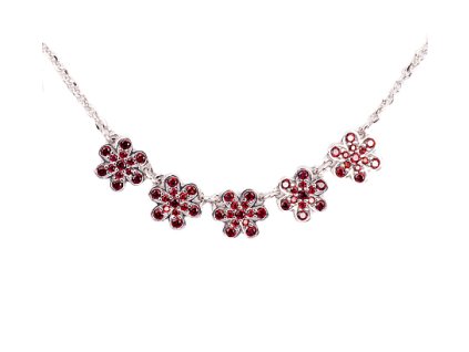 Czech garnet necklace (6770953)