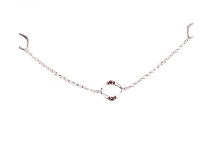 Czech garnet necklace (6770937)