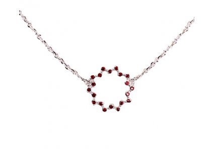 Czech garnet necklace (6770951)