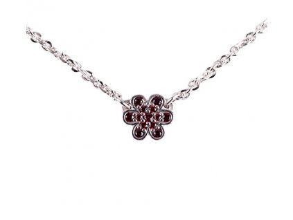 Czech garnet necklace (6770954)