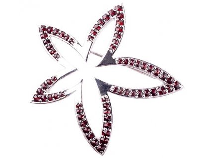 Czech garnet brooch (6570736)