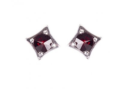 Czech garnet earrings (6370915)