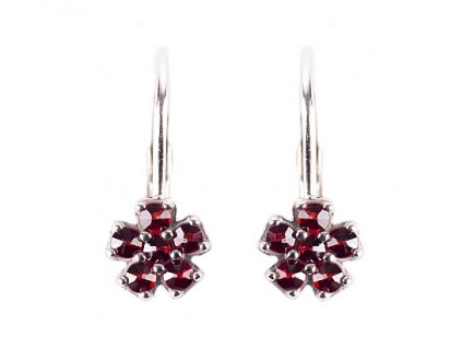 Czech garnet earrings (6371418)