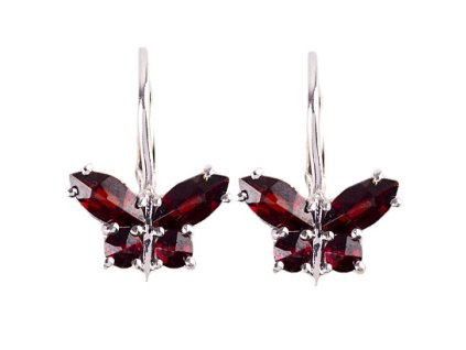 Czech garnet earrings (6370979)