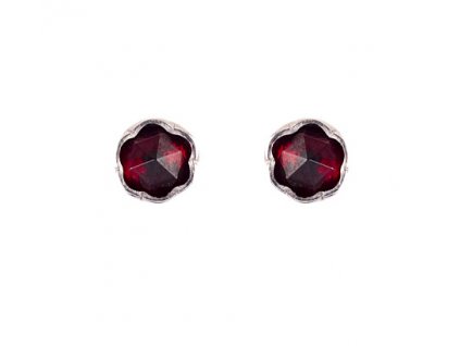 Czech garnet earrings (6371448)