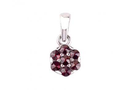 Czech garnet pendant (6450458)