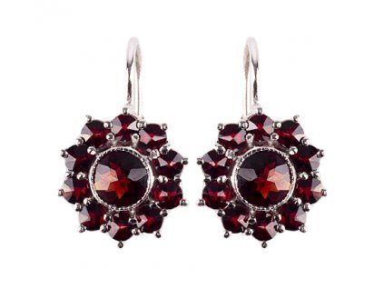 Czech garnet earrings (6370070)