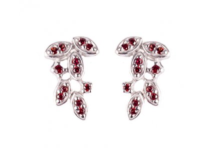 Czech garnet earrings (6371511)
