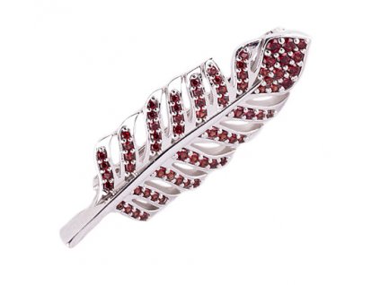 Czech garnet brooch (6570758)