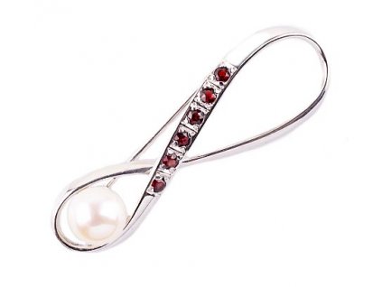 Czech garnet brooch (6570759)