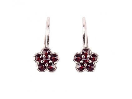 Czech garnet earrings (6370545)