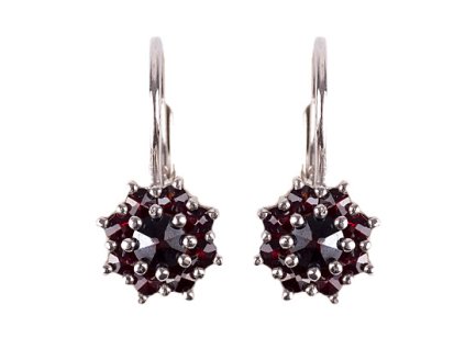 Czech garnet earrings (6370319)