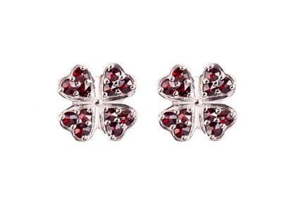 Czech garnet earrings (6371354)