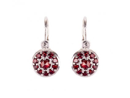 Czech garnet earrings (6371455-brizura)