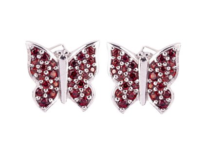 Czech garnet earrings (6371475)