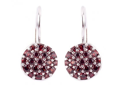 Czech garnet earrings (6371474)