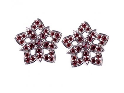 Czech garnet earrings (6371483)